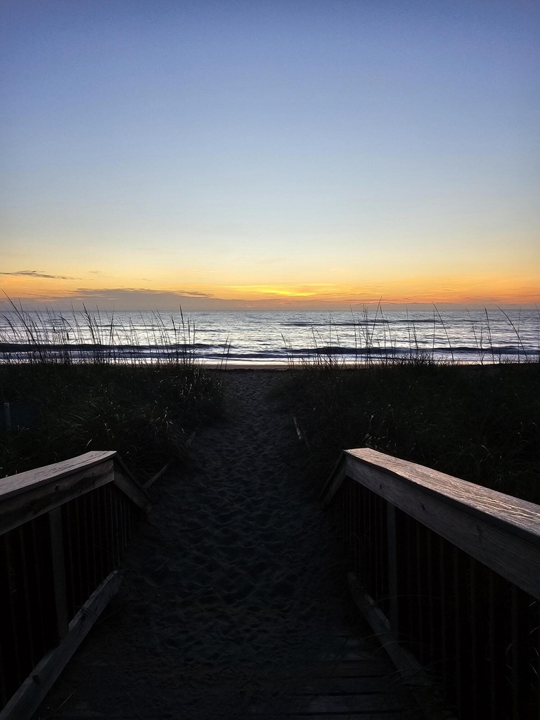 2400 S Ocean Drive - Photo 49