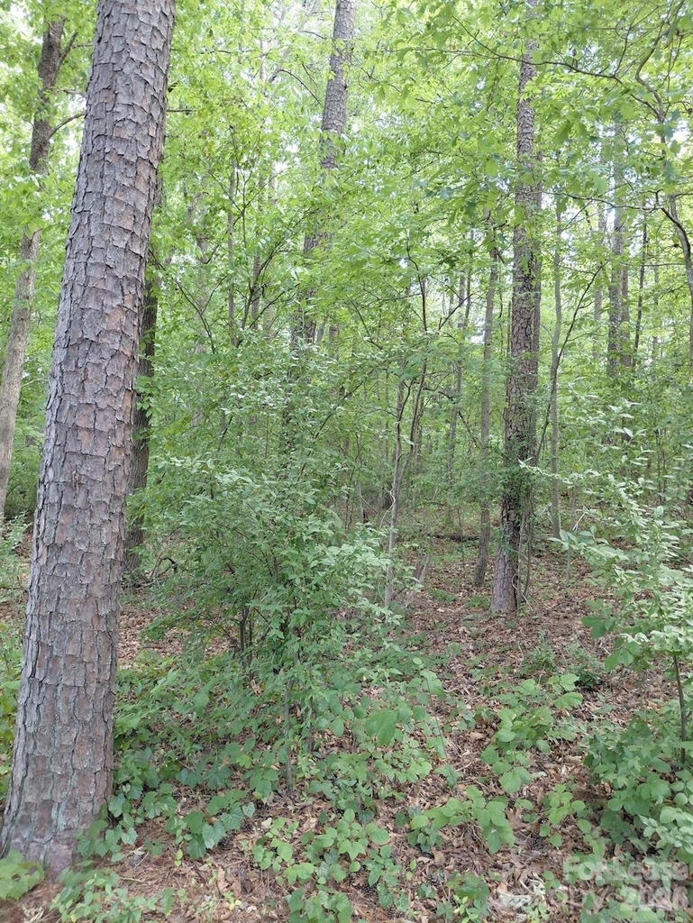 3400 New Hampshire Drive - Photo 26