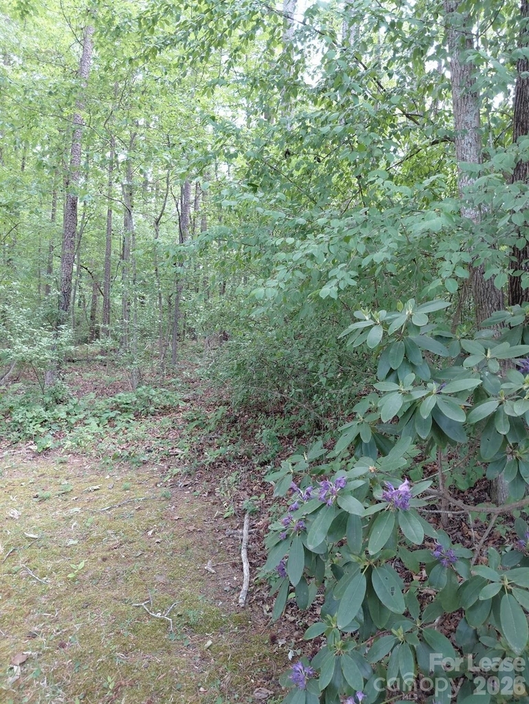3400 New Hampshire Drive - Photo 25