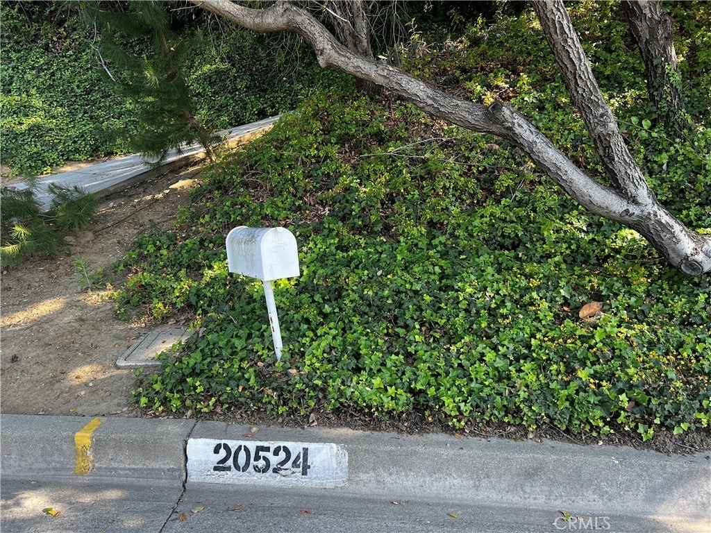 20524 Missionary Ridge - Photo 22
