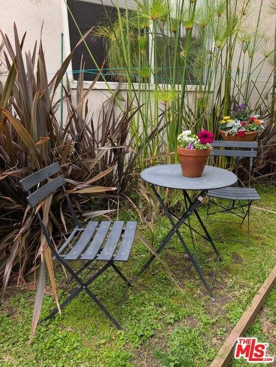 2410 Abbot Kinney Boulevard - Photo 11