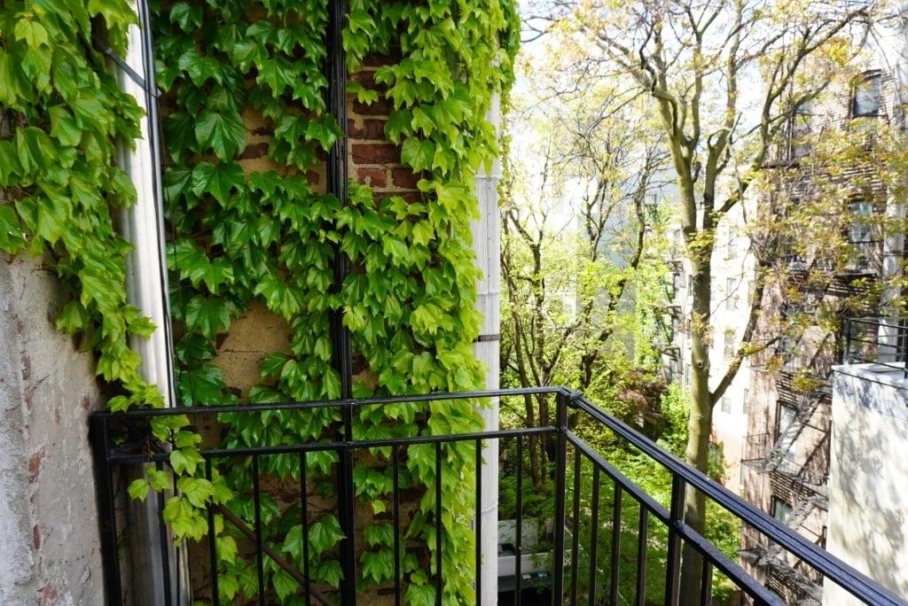 East 10th Street - Photo 3