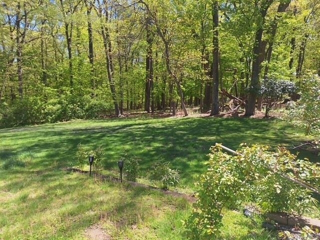 101 Gatto Lane - Photo 8