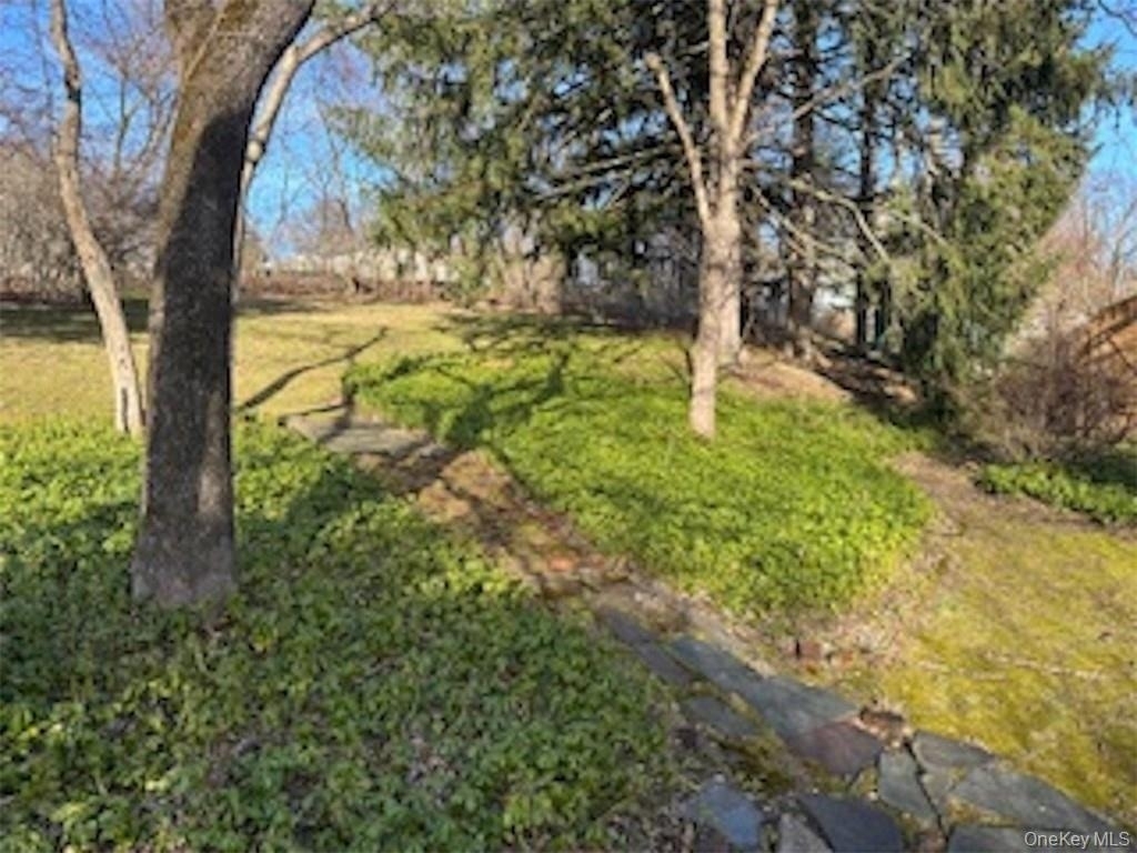 423 Springvale Road - Photo 29