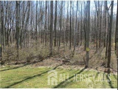 1056 Morning Glory Drive - Photo 8