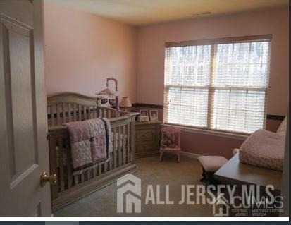 1056 Morning Glory Drive - Photo 5