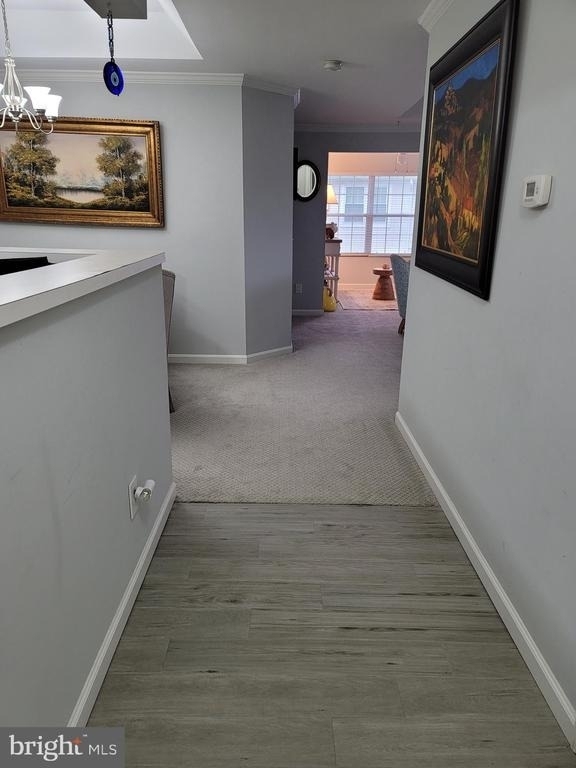 14154 Cuddy Loop - Photo 3