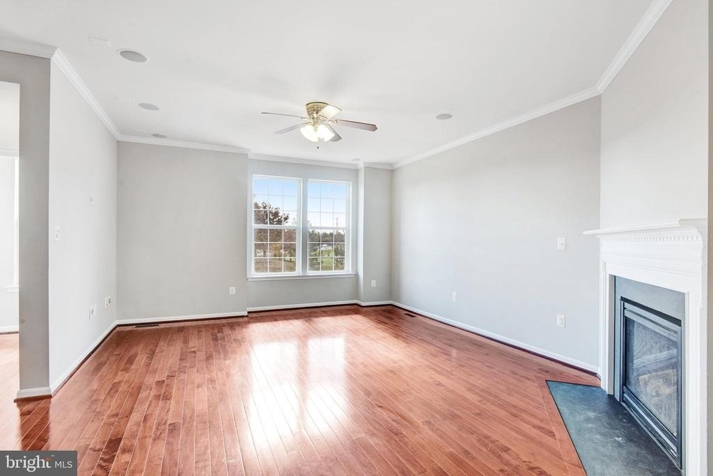 24803 Mason Dale Terrace - Photo 4