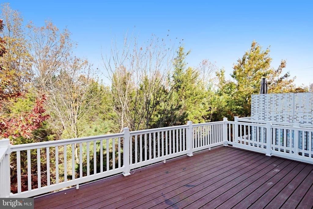 24803 Mason Dale Terrace - Photo 17