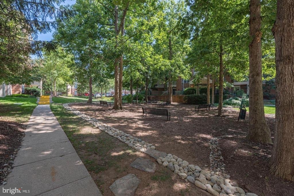 2204 Westcourt Lane - Photo 13