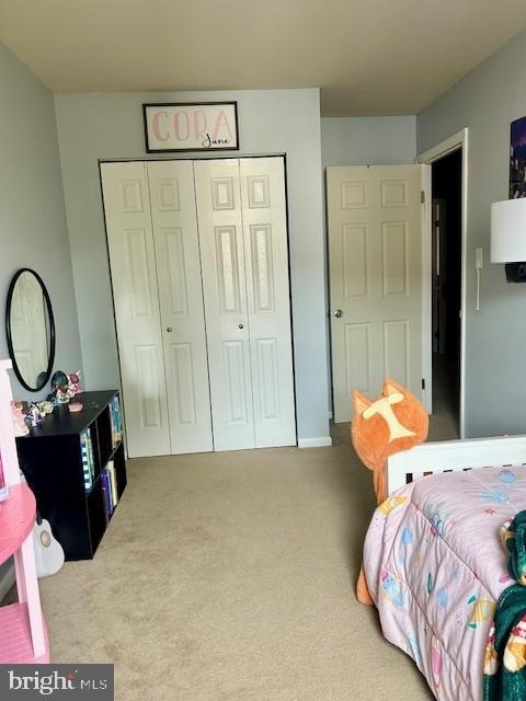 3608 Walnut Ridge Estate - Photo 21