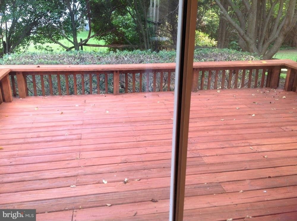 11624 Bootjack Court - Photo 9