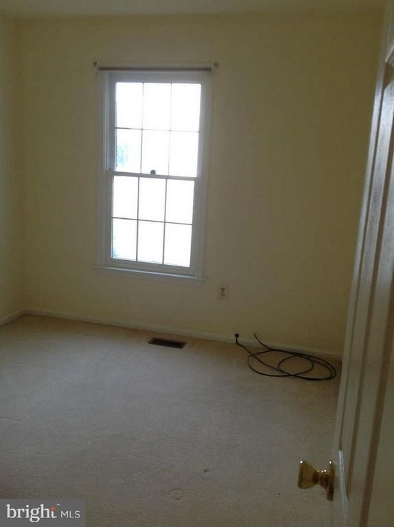 11624 Bootjack Court - Photo 12
