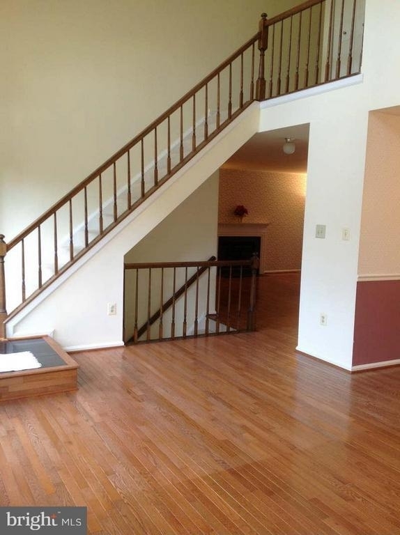 11624 Bootjack Court - Photo 1