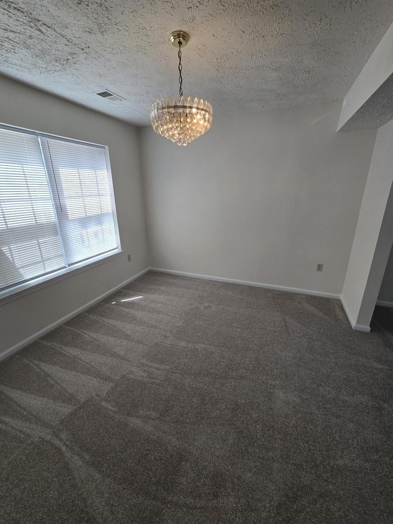 4054 Cottontop Court - Photo 10