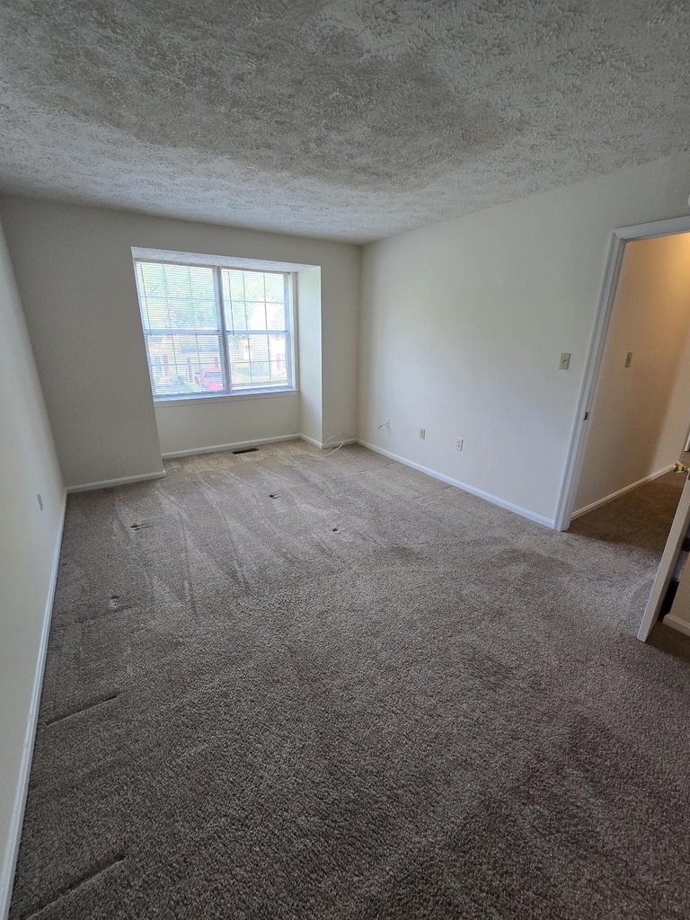 4054 Cottontop Court - Photo 24