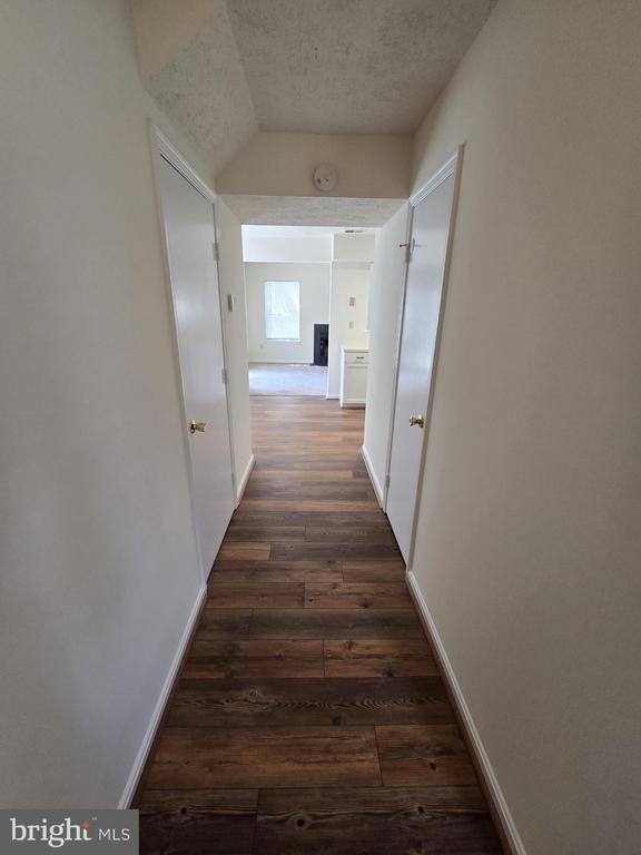 4054 Cottontop Court - Photo 2
