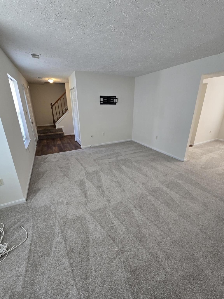 4054 Cottontop Court - Photo 3