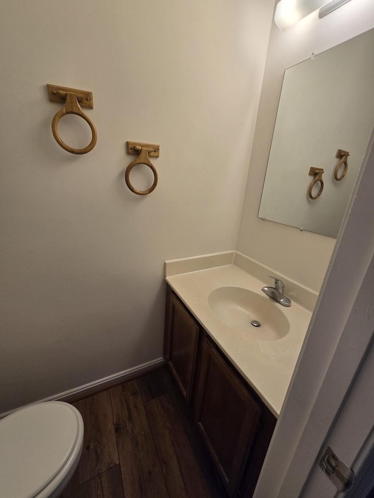 4054 Cottontop Court - Photo 13