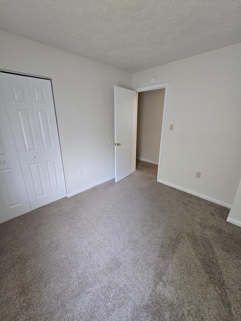 4054 Cottontop Court - Photo 18