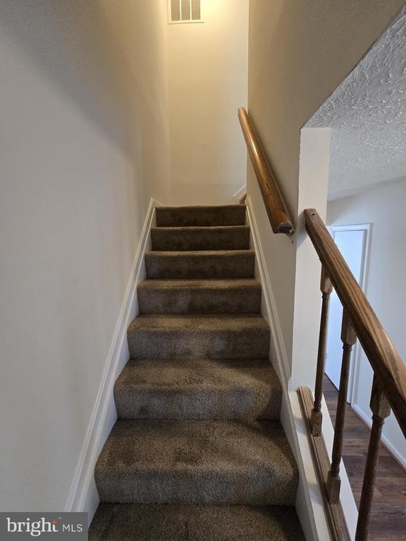 4054 Cottontop Court - Photo 14
