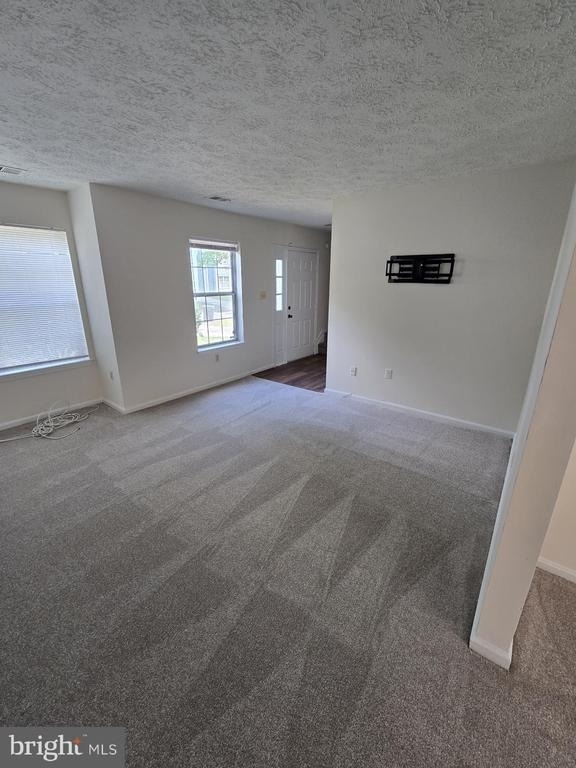 4054 Cottontop Court - Photo 5