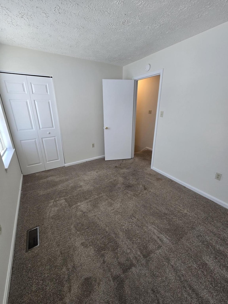 4054 Cottontop Court - Photo 17