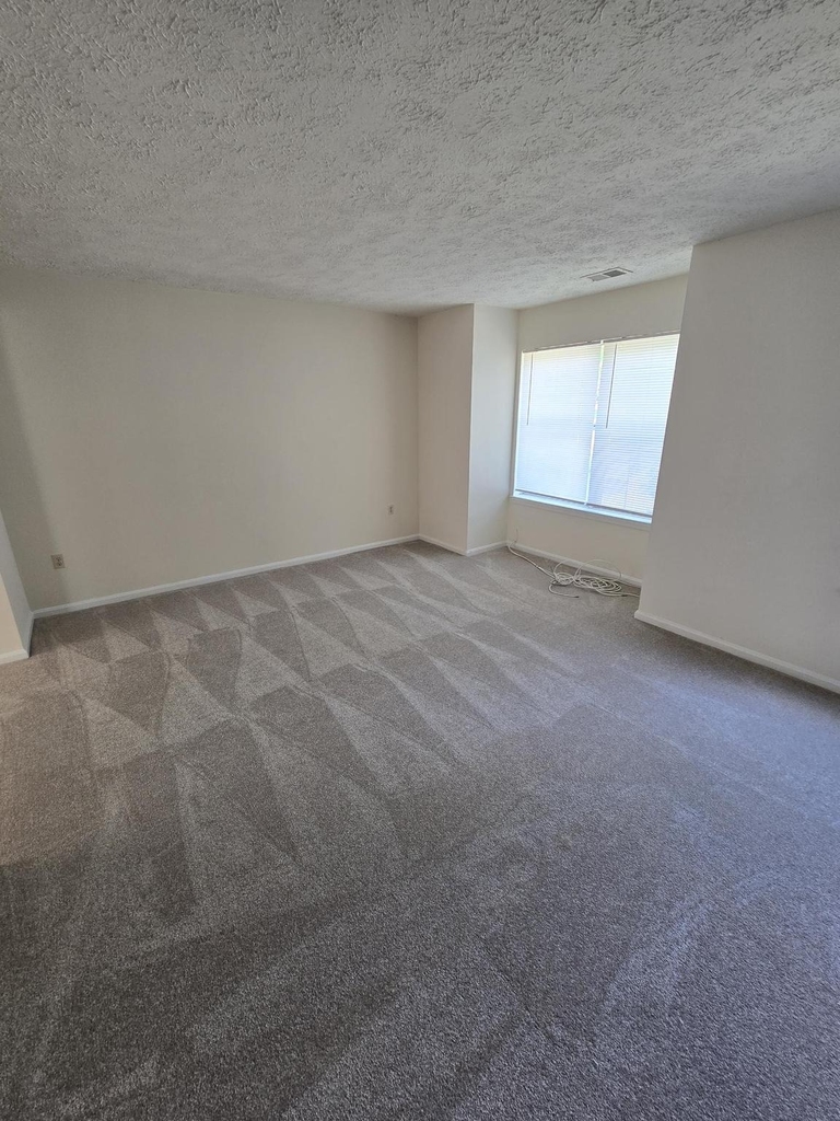 4054 Cottontop Court - Photo 4