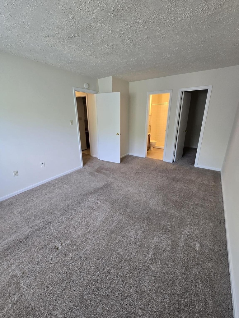 4054 Cottontop Court - Photo 26