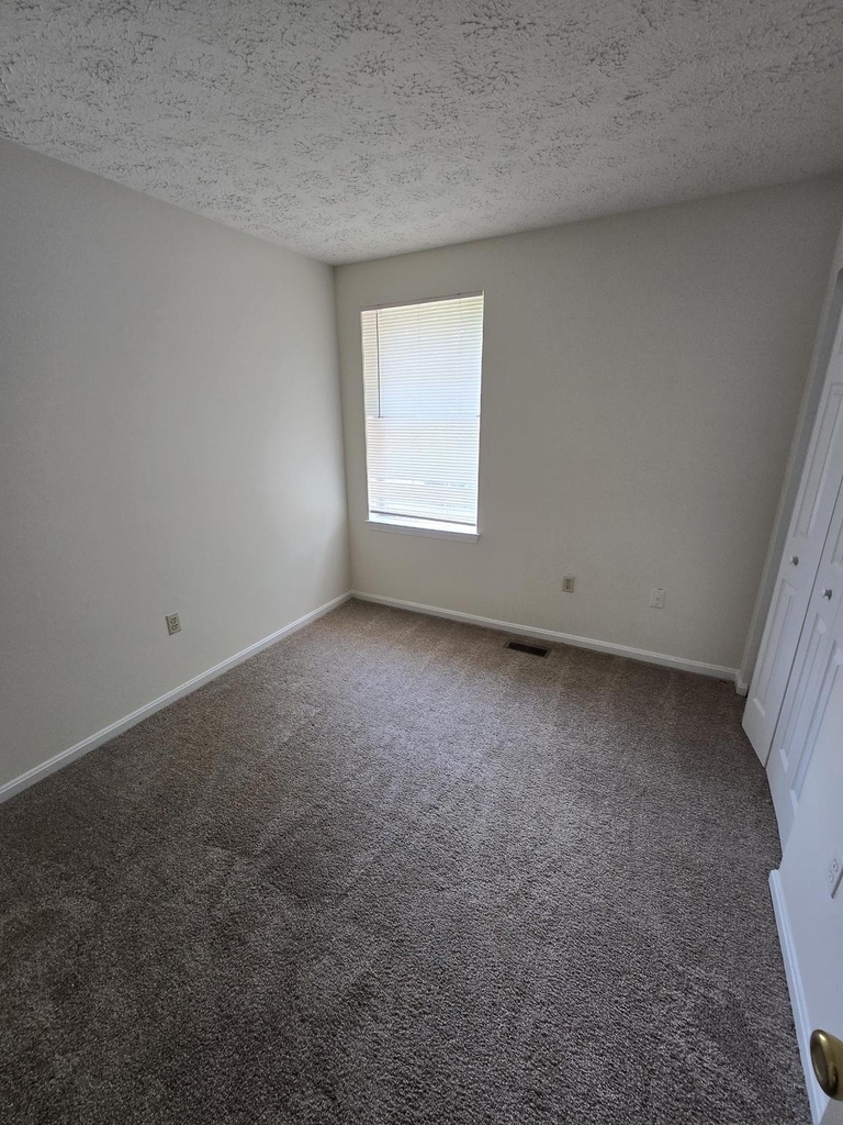 4054 Cottontop Court - Photo 19