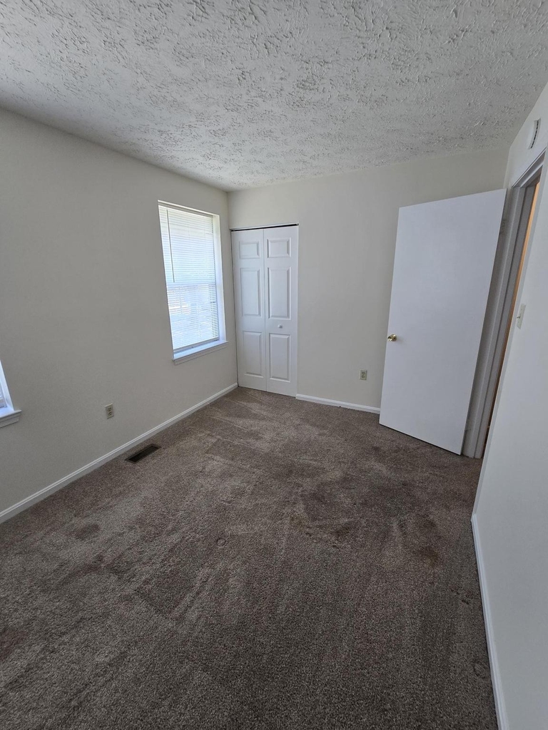 4054 Cottontop Court - Photo 15