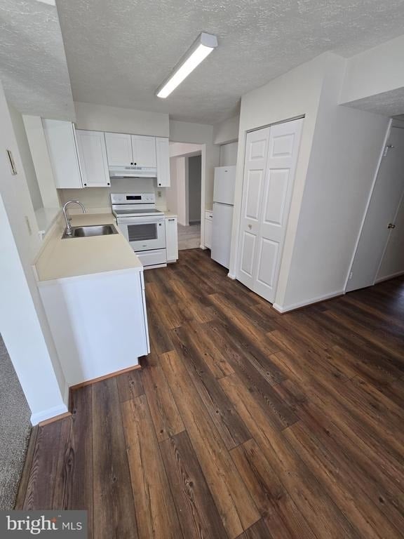 4054 Cottontop Court - Photo 6
