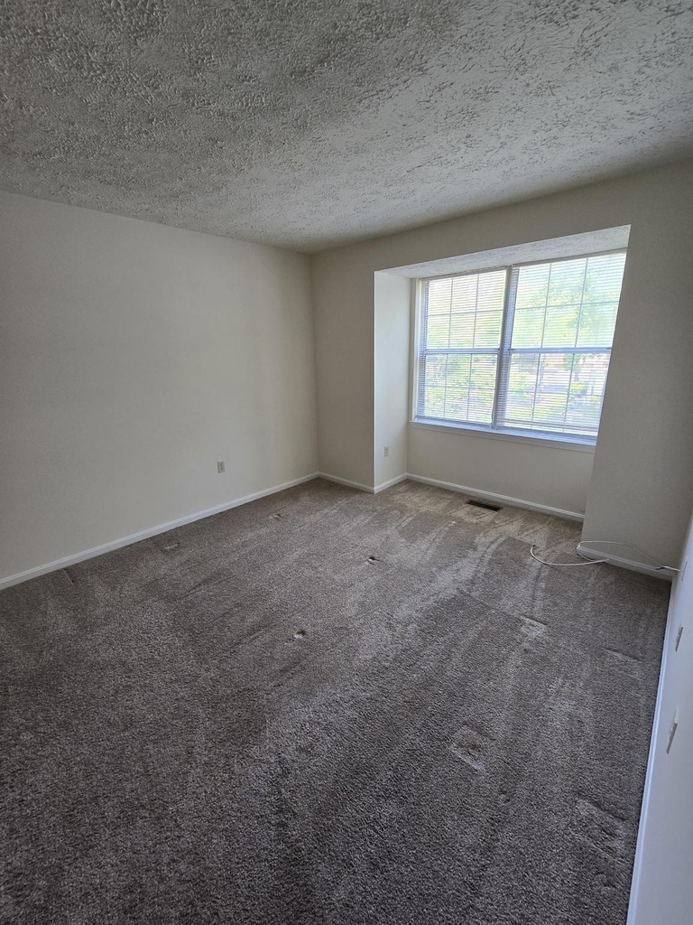 4054 Cottontop Court - Photo 25