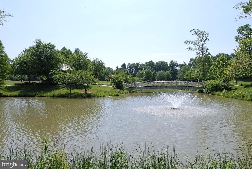 1102 Thomas Trail - Photo 5