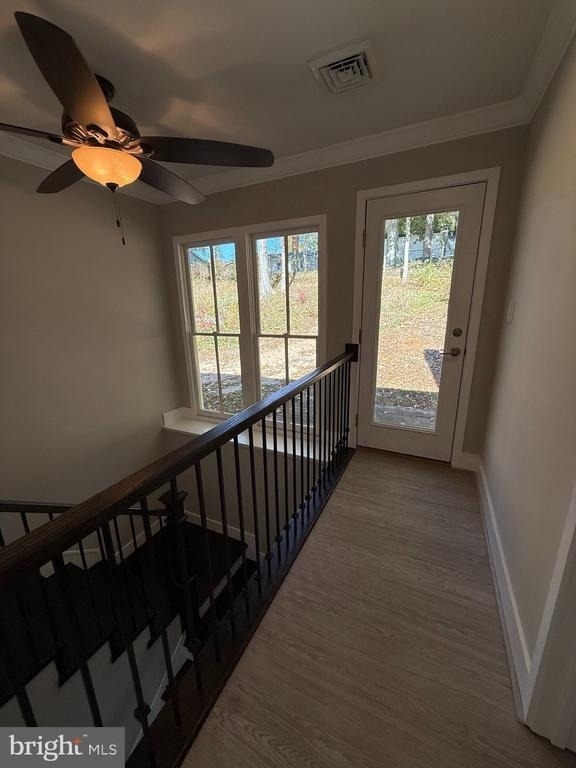 453 Walnut Drive - Photo 7