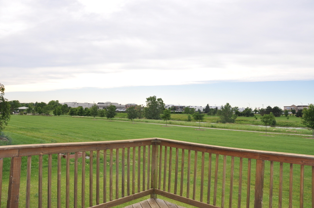 2135 Feldott Lane - Photo 10