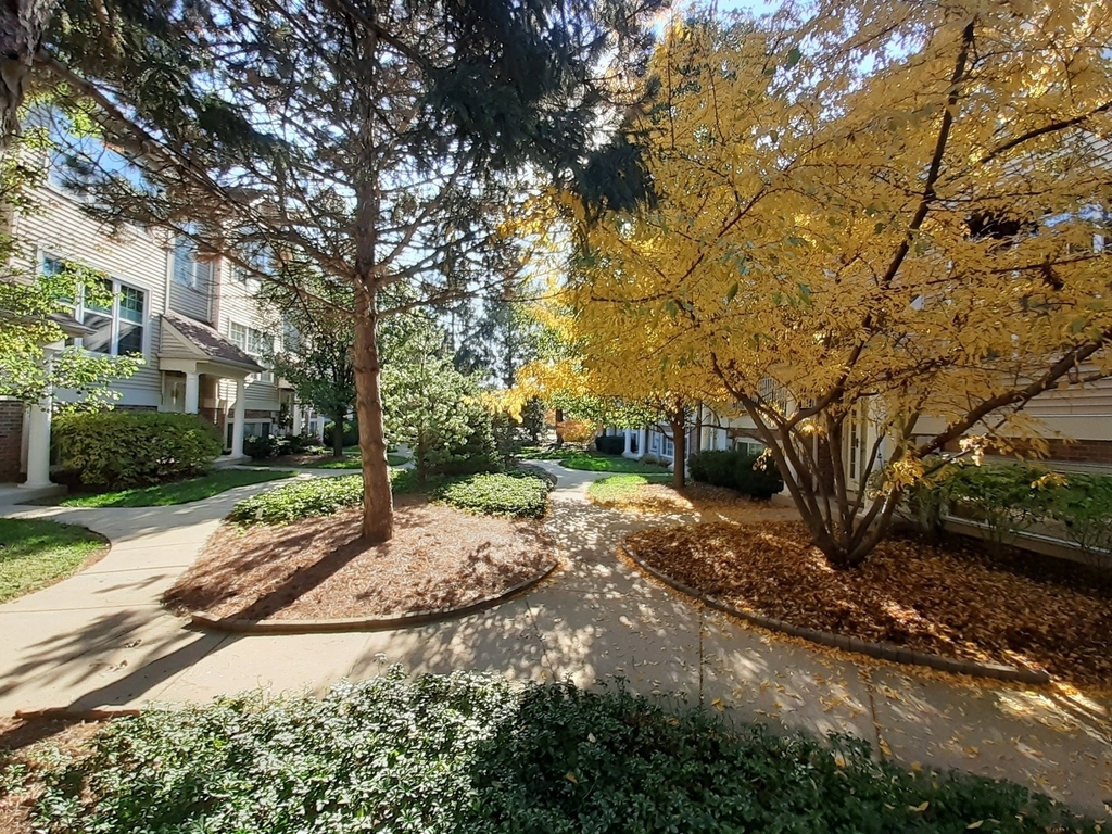 11 E Illinois Avenue - Photo 1