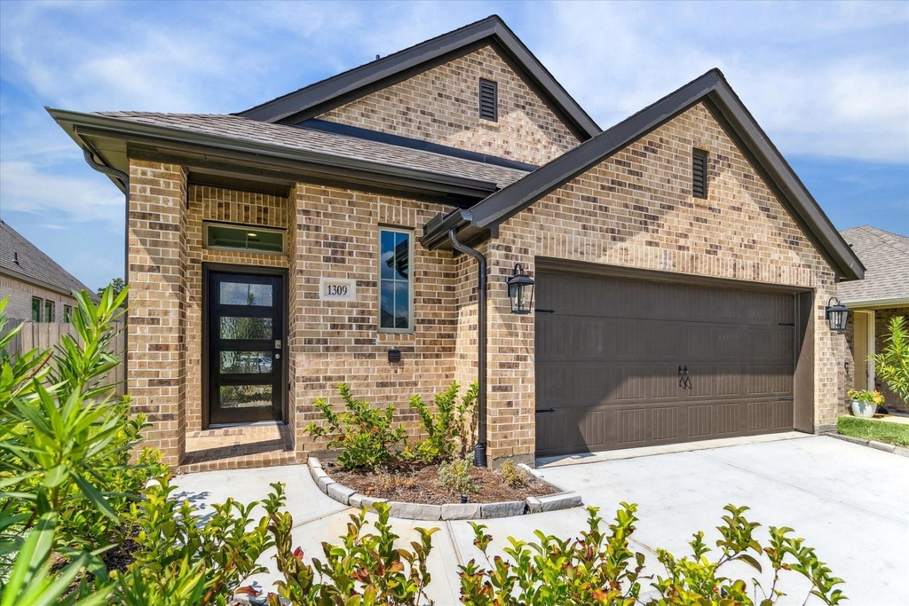 1309 Wicklow Forest Street - Photo 1