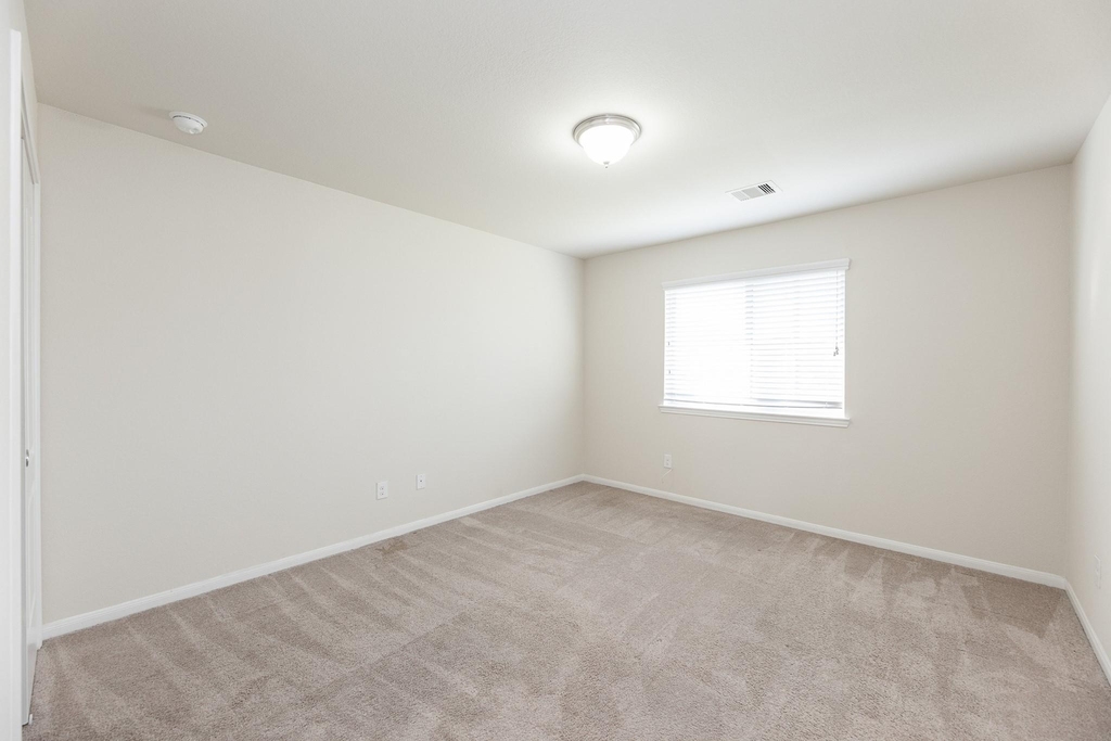 27010 Soapstone Terrace Lane - Photo 28