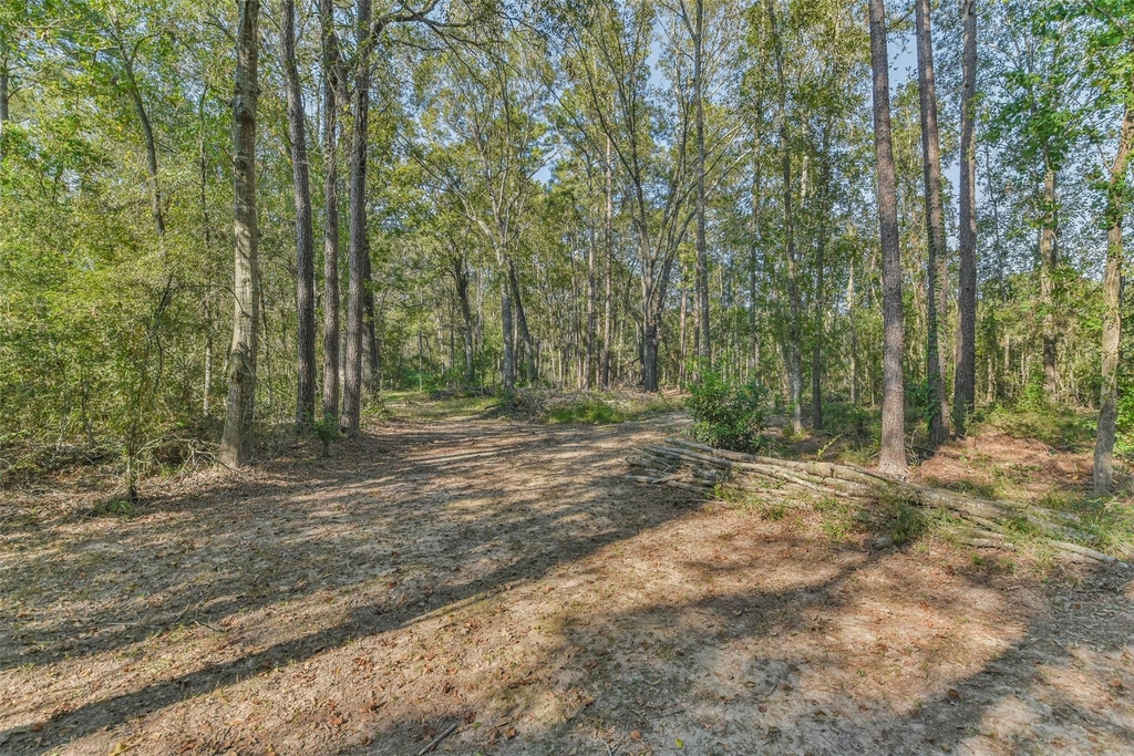 24237 Creekwood Drive - Photo 46