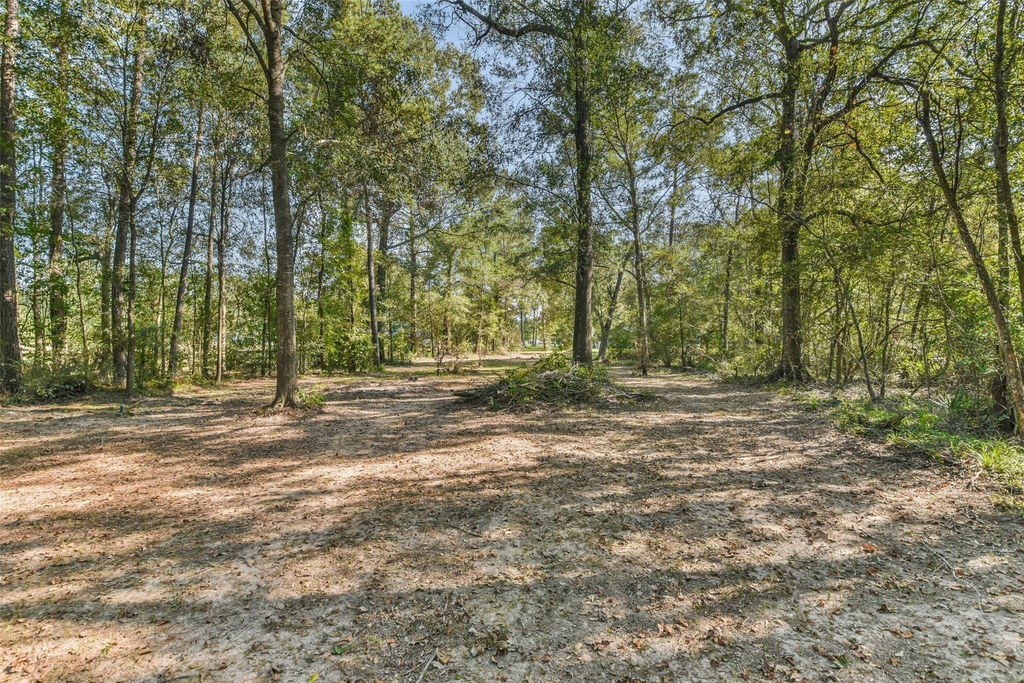 24237 Creekwood Drive - Photo 45