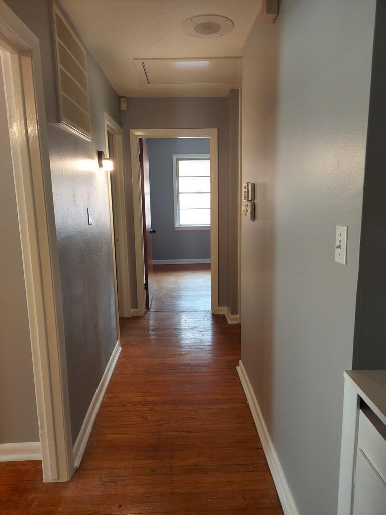 4933 Nina Lee Lane - Photo 3