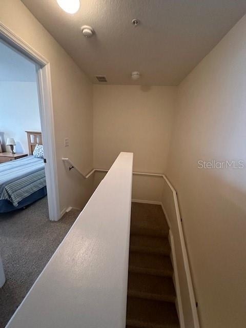 2290 San Vital Drive - Photo 32