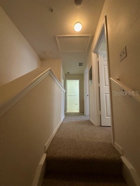 2290 San Vital Drive - Photo 19