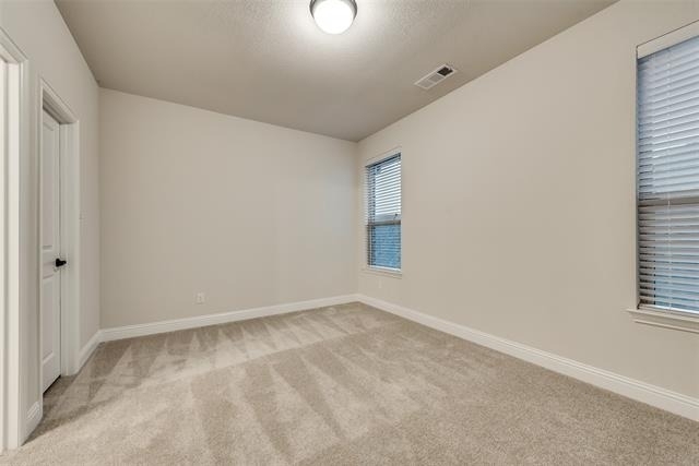 5901 The Esplanade Drive - Photo 32