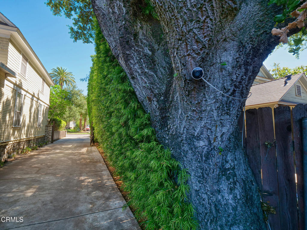 475 Cypress Avenue - Photo 37