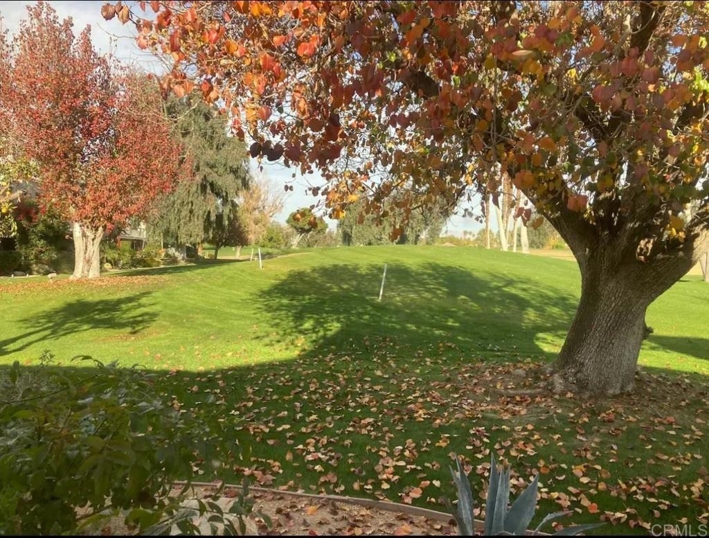 35090 Mission Hills Drive - Photo 40