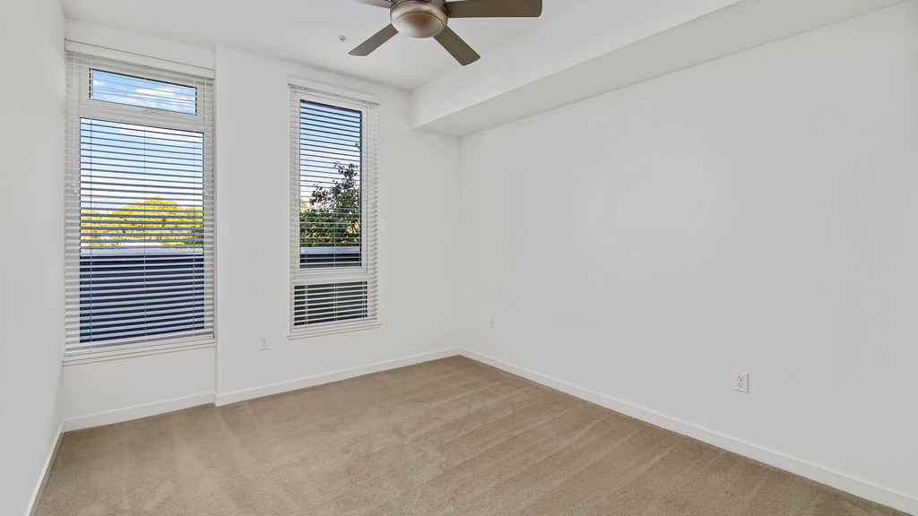 1333 Powell Street - Photo 18