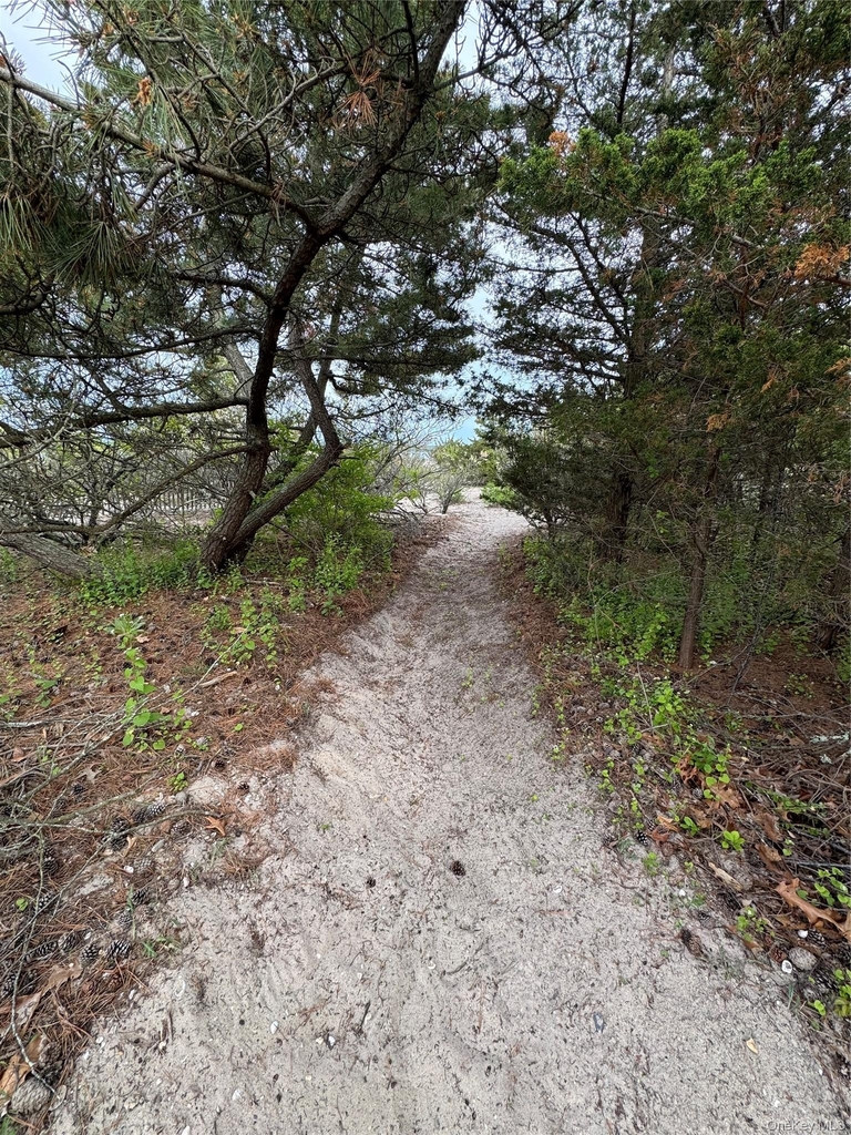 224 Centre Island Road - Photo 16