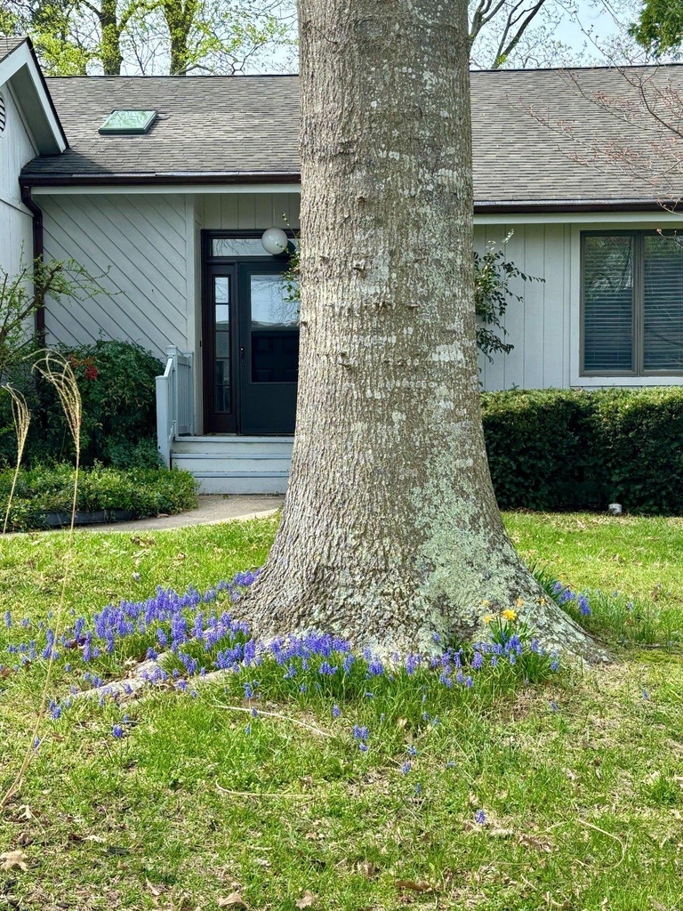 16 Colgate Drive - Photo 3